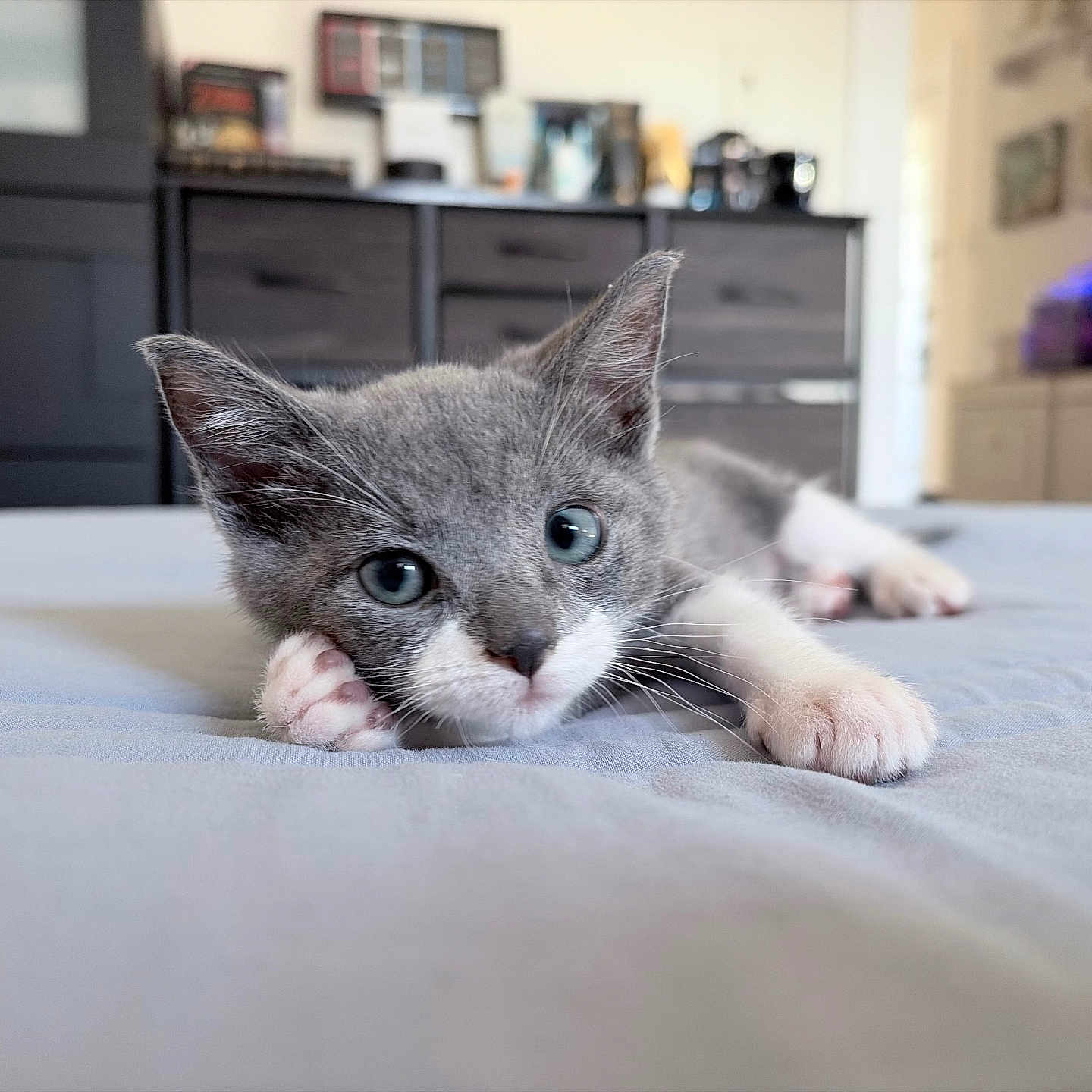 Coco