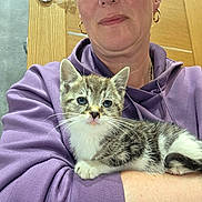 Ozzy joined the competition — help win amazing prizes! kitten, cat, person, purple_hoodie, indoor, wooden_door, gray_tiles, watch, earrings, whiskers, fur, cute, pet, domestic_animal, portrait, close_up, holding, resting, young_animal, curious