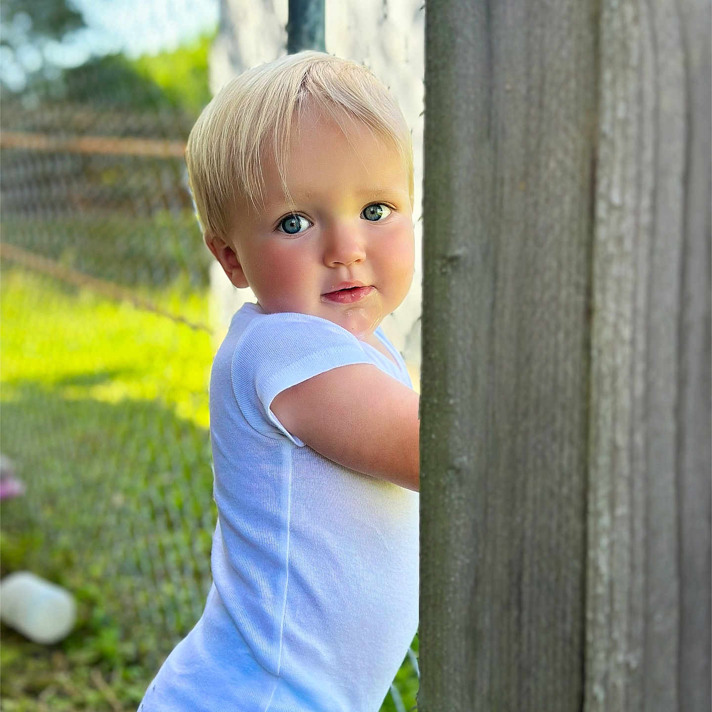 Levi is registered to the contest to win money with this photo: baby, blonde_hair, blue_eyes, child, curious, cute, daylight, fence, grass, infant, nature, outdoor, person, portrait, smiling, sunlight, toddler, white_onesie, wooden_post, young_child