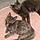 Iris Et Charlie