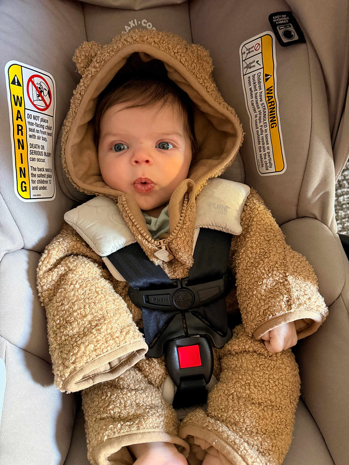 Emerie is registered to the contest to win money with this photo: baby, infant, child, car_seat, seat_belt, hooded_suit, fleece, teddy_bear_style, cozy, surprised_expression, blue_eyes, cute, portrait, indoors, safety_warning_label, buckle, hand, foot, soft_texture, newborn