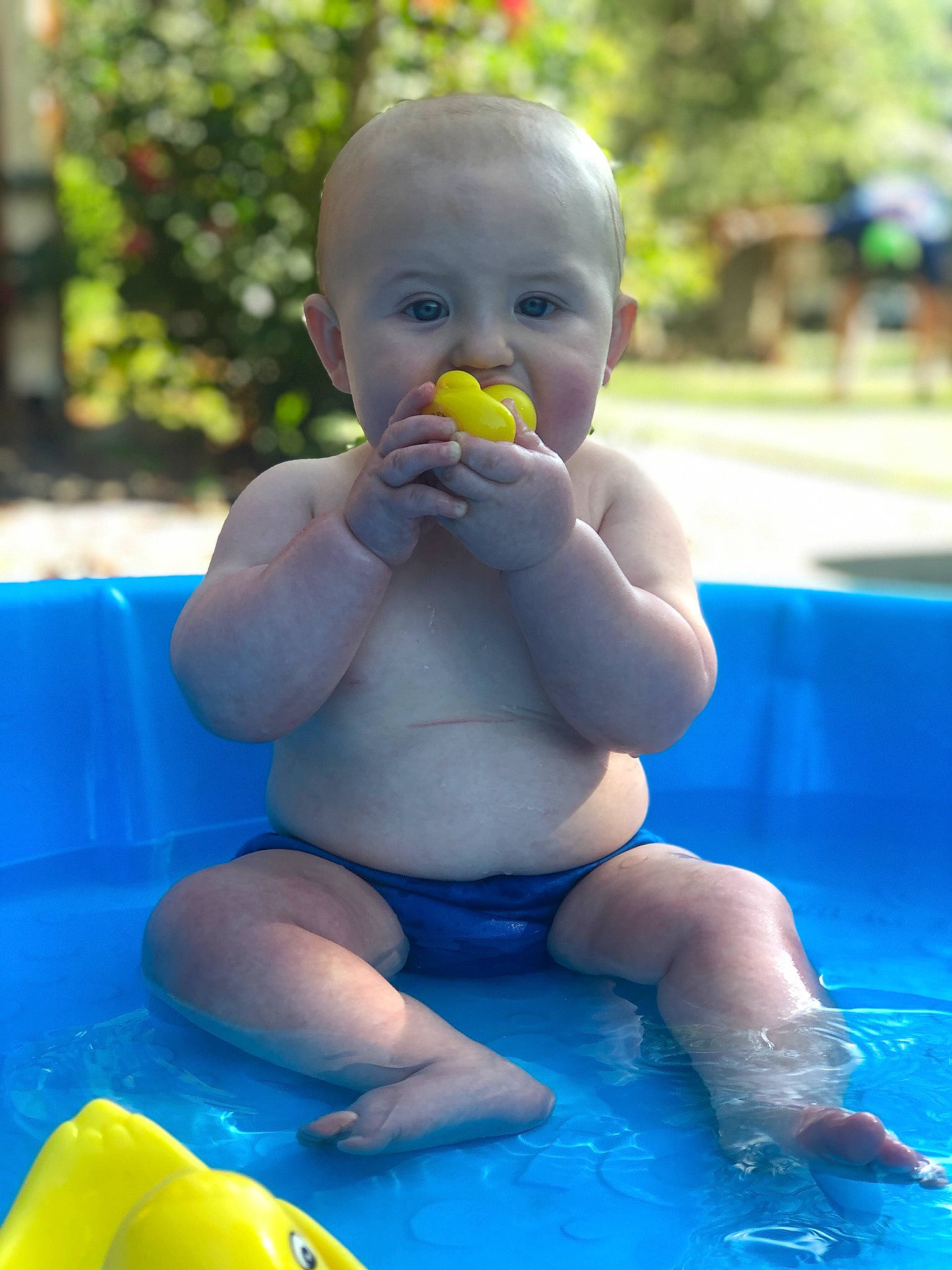 Ryne is registered to the contest to win money with this photo: baby, baby_bathing, bathing, blue, child, fun, games, leisure, person, play, recreation, skin, smile, summer, swimming_pool, toddler, vacation, water, yellow