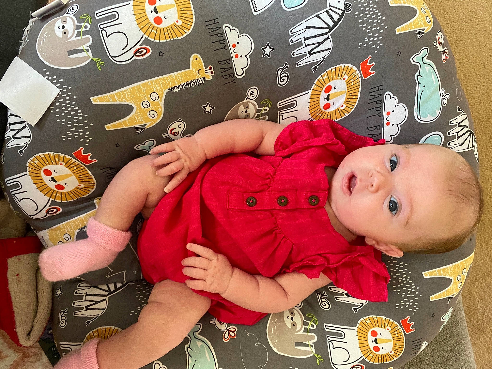 Ashlyn is registered to the contest to win money with this photo: baby, baby_toddler_clothing, cheek, child, comfort, finger, gesture, hand, happy, lap, linens, nail, pattern, person, product, red, sleeve, snapshot, surprise, textile