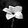 Angele A.