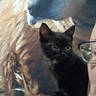black_kitten, person, glasses, shoulder, animal_portrait, dog_image, indoor, closeup, pet, feline, face_partial, leopard_print, fur, cute, domestic_animal, young_animal, background, blurry, cozy, companion