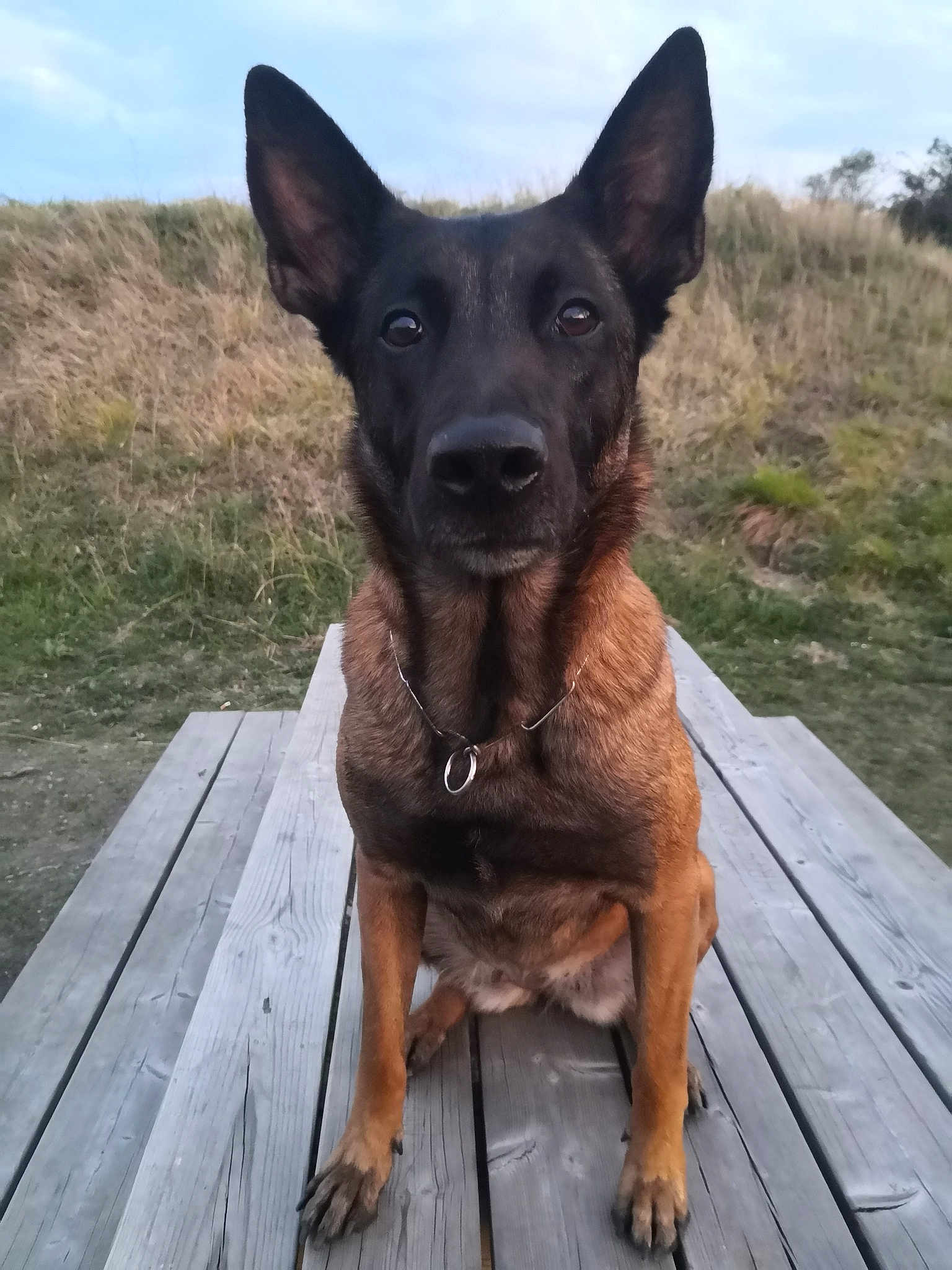 Daïka
