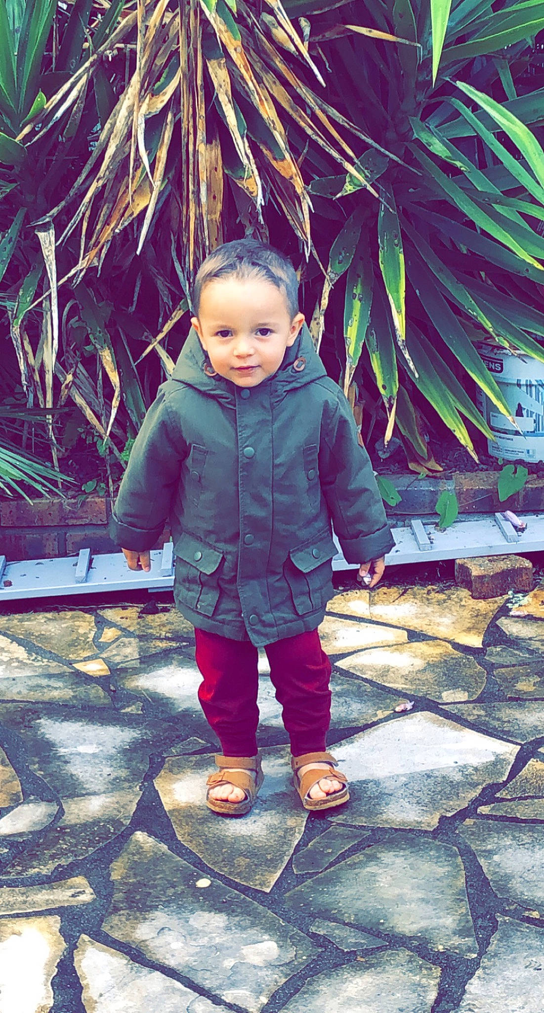 Aydan participe au concours pour gagner de l'argent avec cette photo : baby, baby_toddler_clothing, child, cool, fun, grass, happy, jacket, leisure, magenta, mammal, people_in_nature, person, sitting, smile, standing, tints_and_shades, toddler, tree, vacation