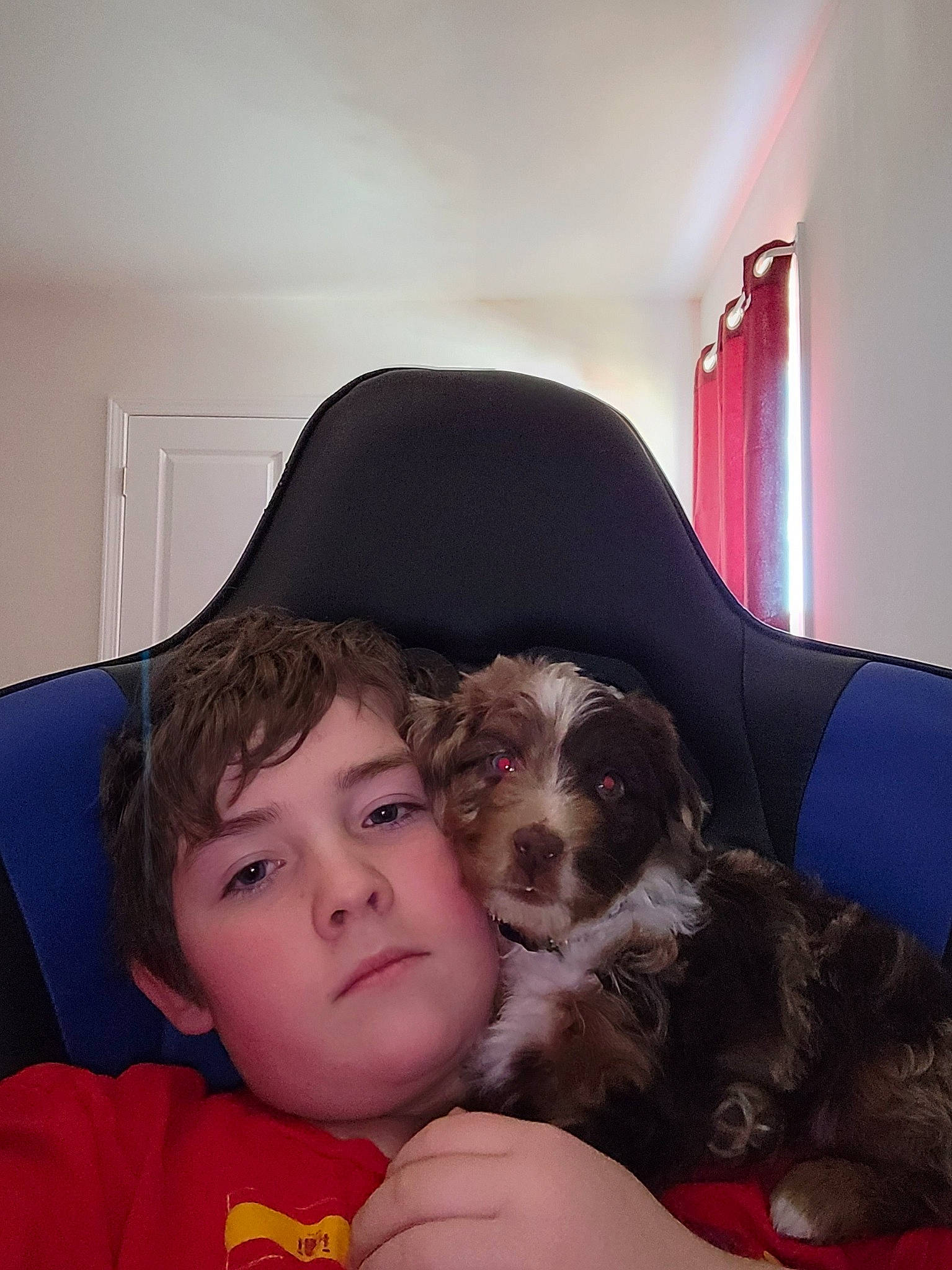 Freya joined the competition — help win amazing prizes! black_hair, carnivore, comfort, companion_dog, couch, dog, dog_breed, ear, eyewear, fawn, fun, fur, happy, lap, long_hair, puppy_love, room, sitting, toy_dog, vertebrate