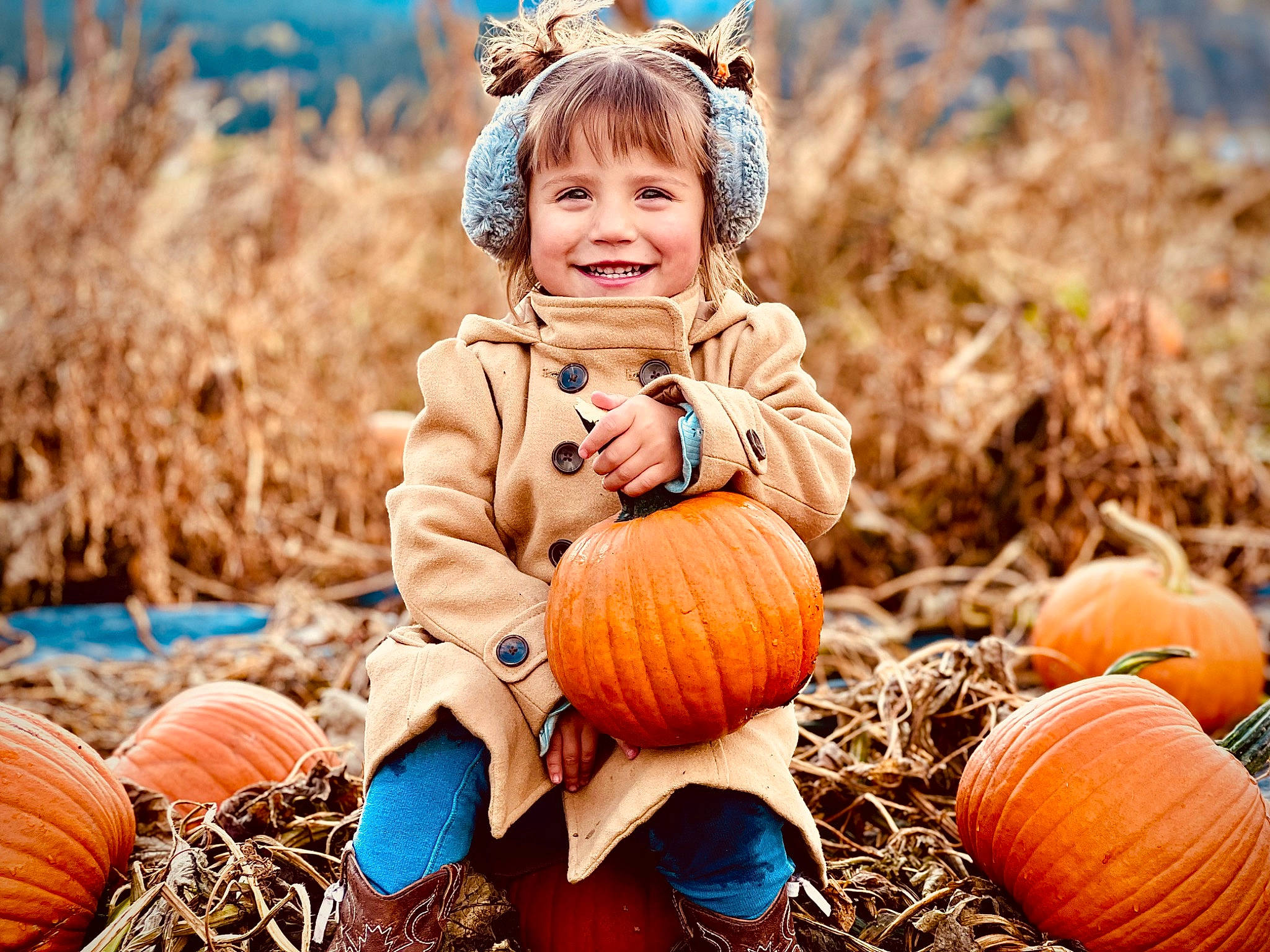 Linda is registered to the contest to win money with this photo: calabaza, cucurbita, eye, face, fruit, gourd, grass, happy, head, joy, natural_foods, nature, people_in_nature, person, plant, pumpkin, smile, squash, tree, vegetable