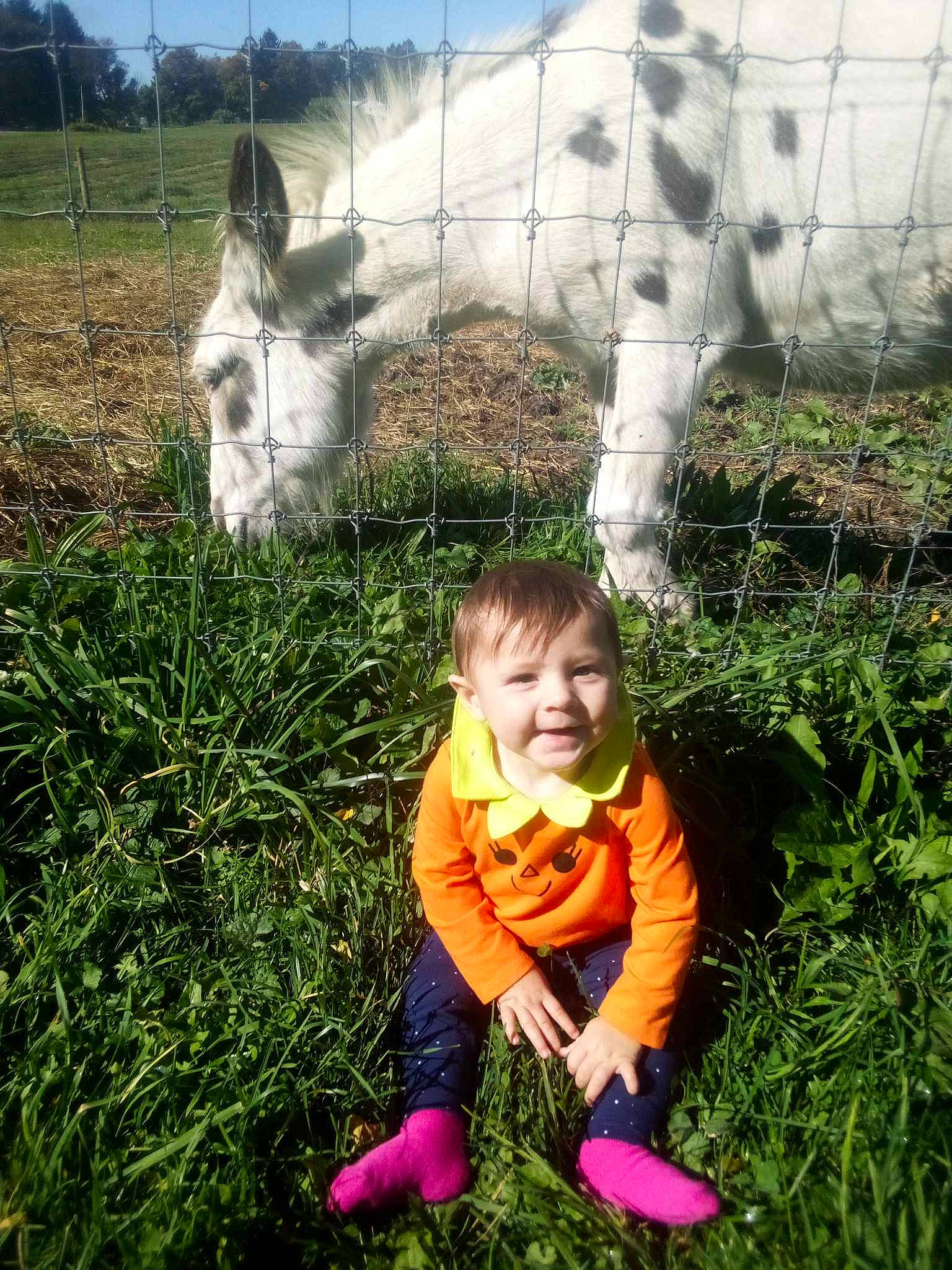 Ryleigh joined the competition — help win amazing prizes! fence, fun, grass, grass_family, grassland, green, happy, head, joy, mammal, pack_animal, people_in_nature, person, photograph, plant, sky, smile, snapshot, snout, toddler