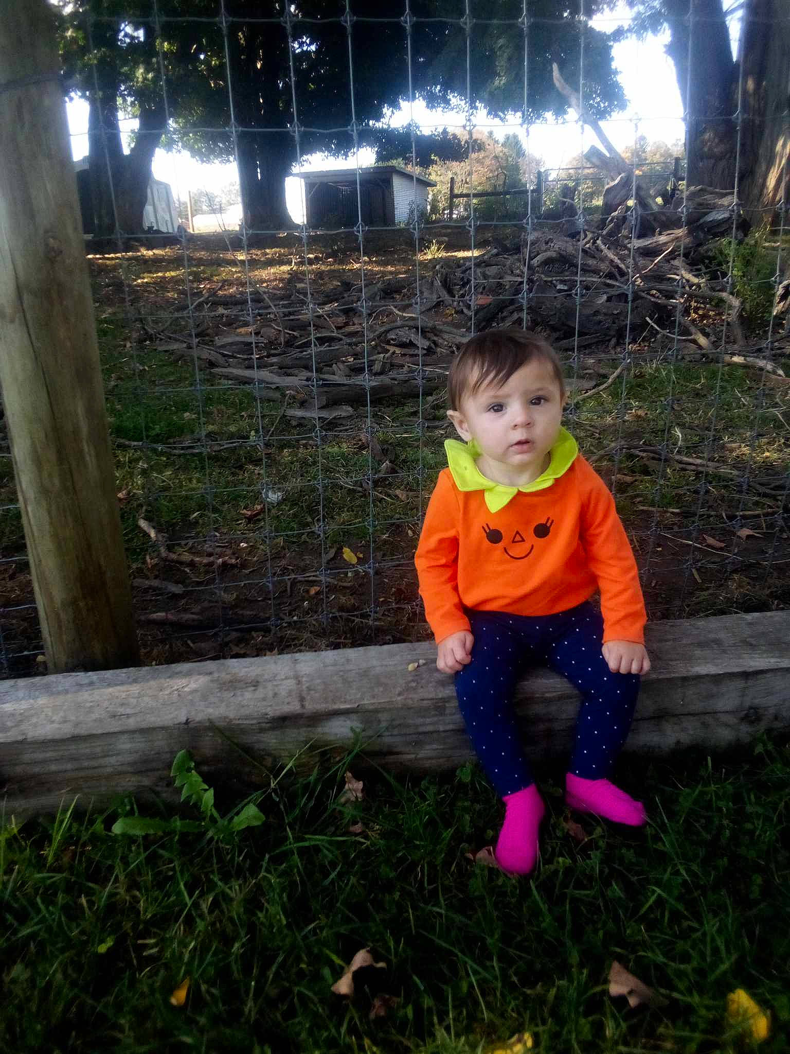 Ryleigh joined the competition — help win amazing prizes! baby_toddler_clothing, botany, child, city, fun, garden, grass, jacket, landscape, leaf, leisure, people_in_nature, person, plant, recreation, soil, spring, toddler, tree, wood