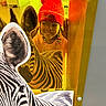 Indiyah is registered to the contest to win money with this photo: child, hat, beads, braids, zebra, animal_print, yellow_glass, reflection, playful, portrait, indoor, colorful, smile, person, curious, red_hat, pattern, glass_panel, hands, optical_illusion