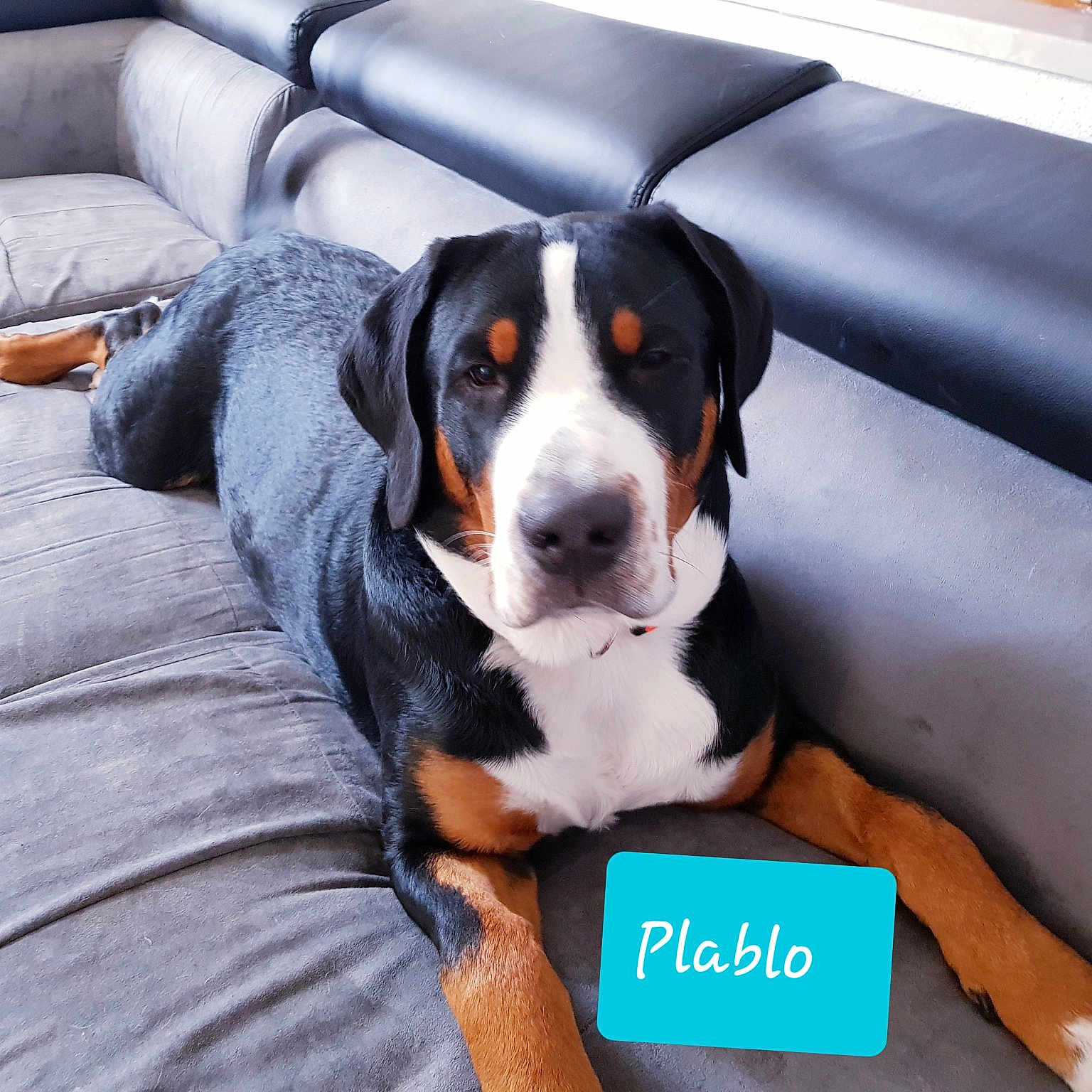 Pablo