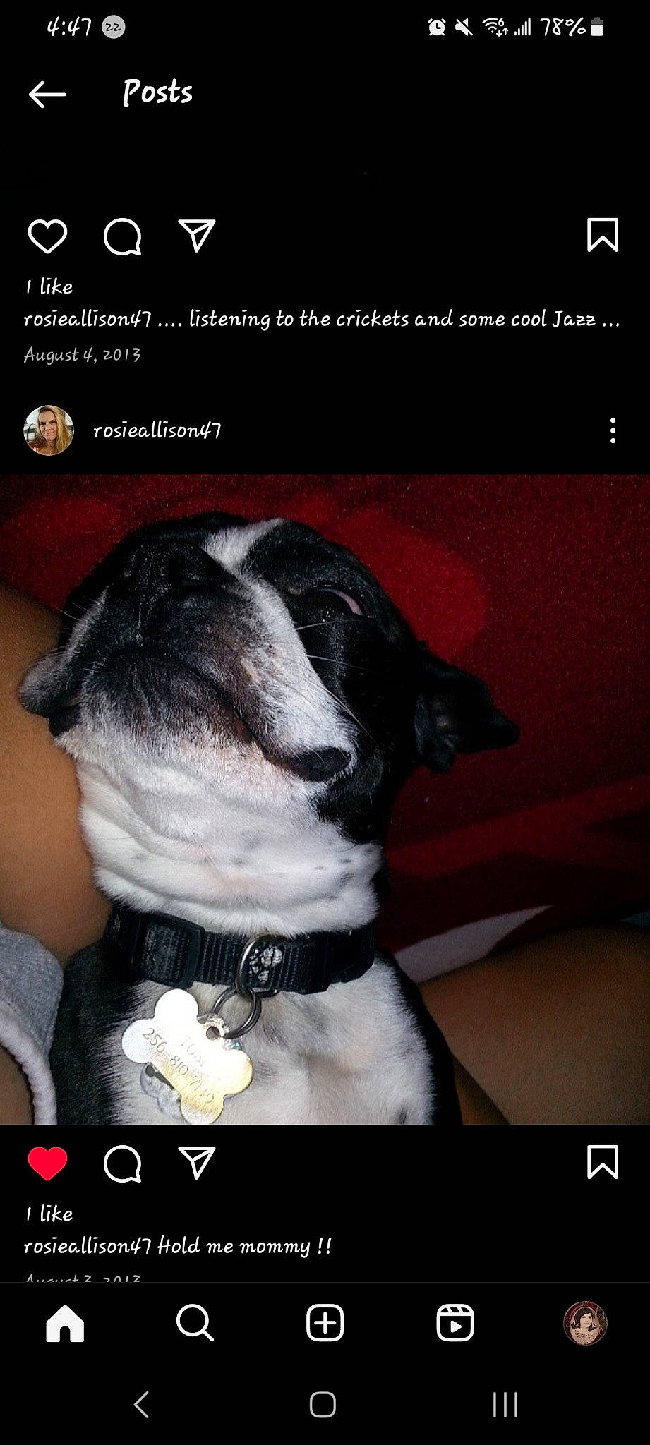 Tobi is registered to the contest to win money with this photo: bow_tie, canidae, carnivore, collar, companion_dog, dog, dog_breed, dog_collar, fashion_accessory, flash_photography, font, formal_wear, fur, non_sporting_group, photo_caption, plant, screenshot, snout, sporting_group, whiskers