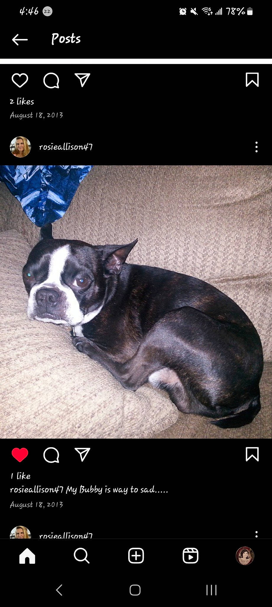 Tobi joined the competition — help win amazing prizes! advertising, boston_terrier, canidae, carnivore, collar, companion_dog, dog, dog_breed, font, non_sporting_group, paw, photo_caption, puppy, screenshot, sky, snout, sporting_group, square, working_animal, working_dog