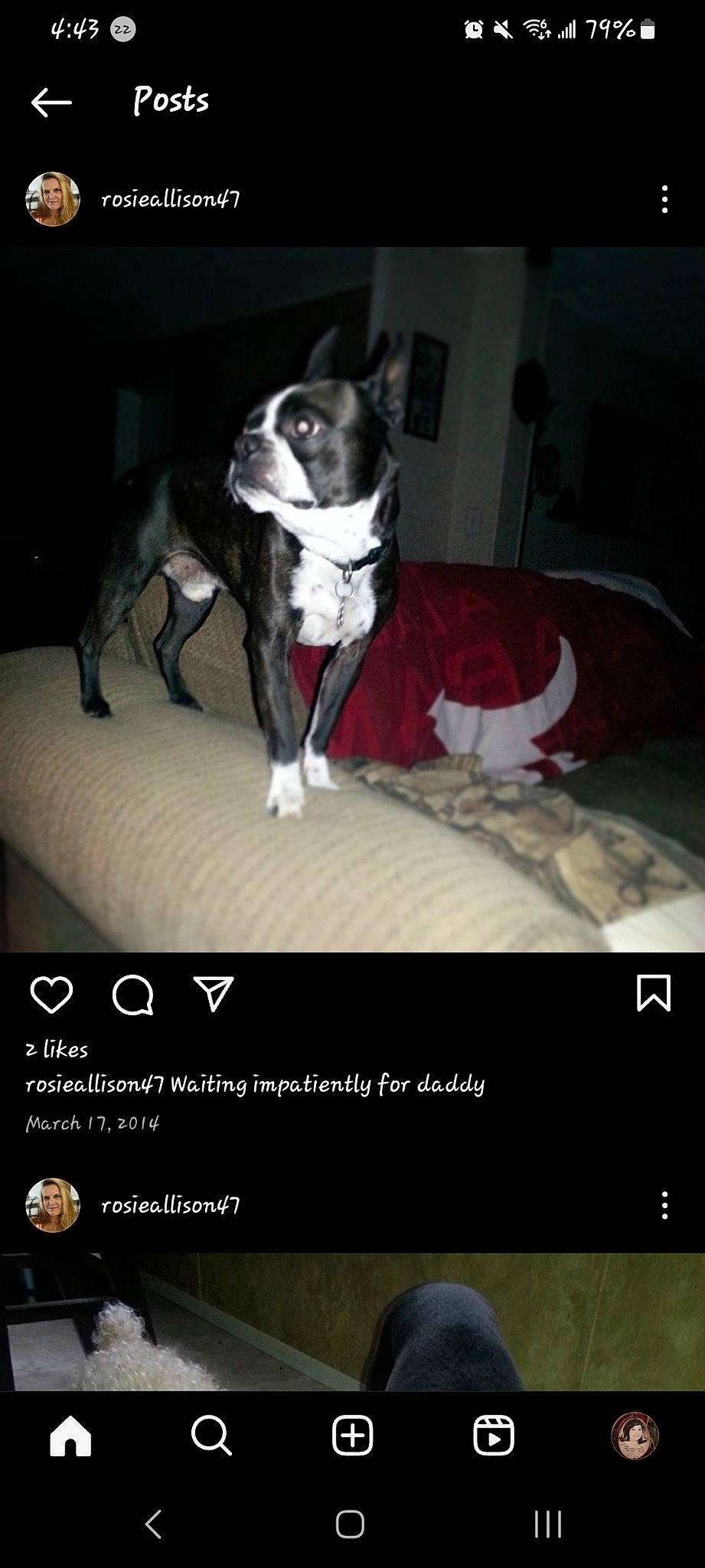 Tobi is registered to the contest to win money with this photo: advertising, brand, canidae, carnivore, comfort, companion_dog, darkness, dog, dog_breed, dog_supply, flash_photography, font, logo, non_sporting_group, paw, pet_supply, photo_caption, screenshot, sporting_group, whiskers