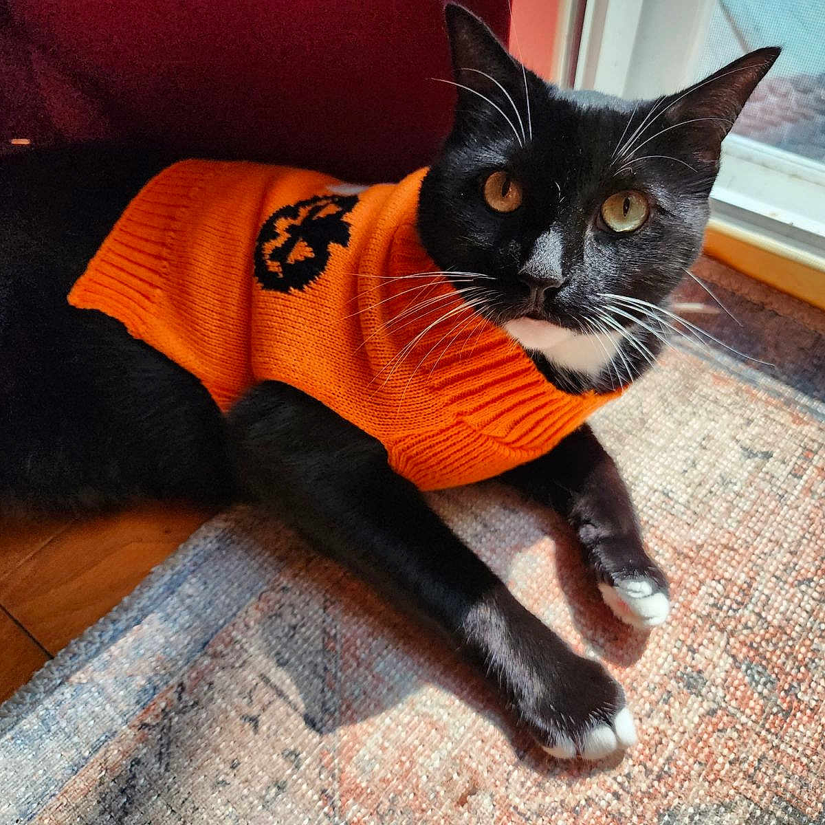 Neiko