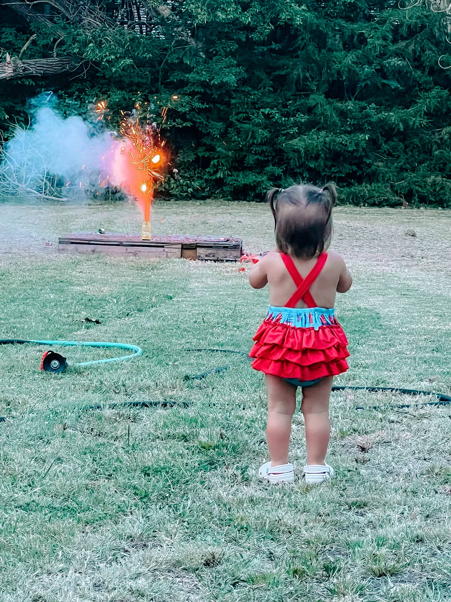 Lela joined the competition — help win amazing prizes! event, fire, flame, fun, grass, grassland, happy, heat, landscape, lawn, leaf, leisure, natural_environment, nature, people_in_nature, person, plant, recreation, summer, toddler