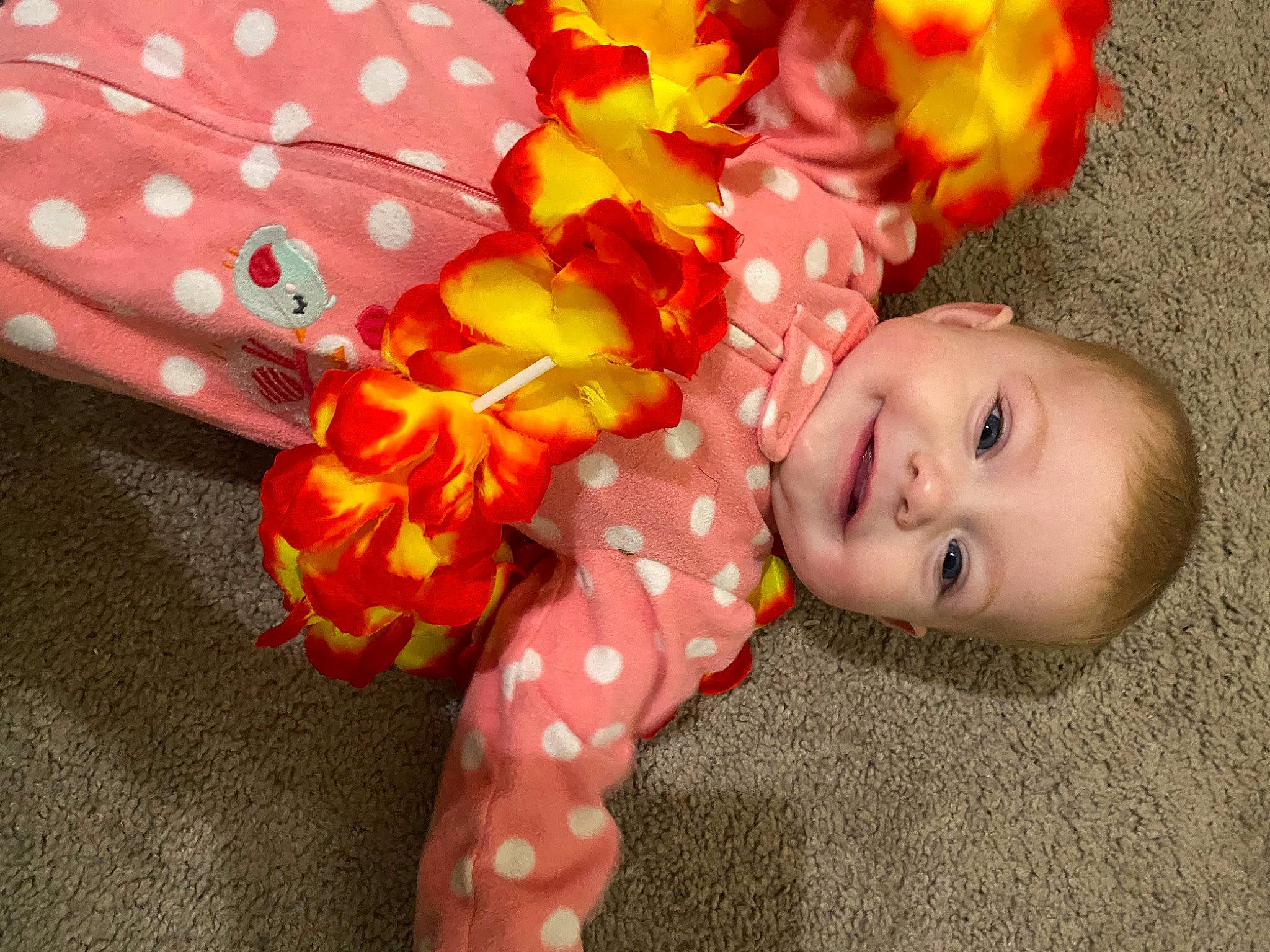 Jesse is registered to the contest to win money with this photo: baby, baby_products, baby_toddler_clothing, child, fashion_accessory, flooring, fun, happy, headgear, joy, linens, magenta, orange, pattern, peach, person, petal, plant, skin, smile