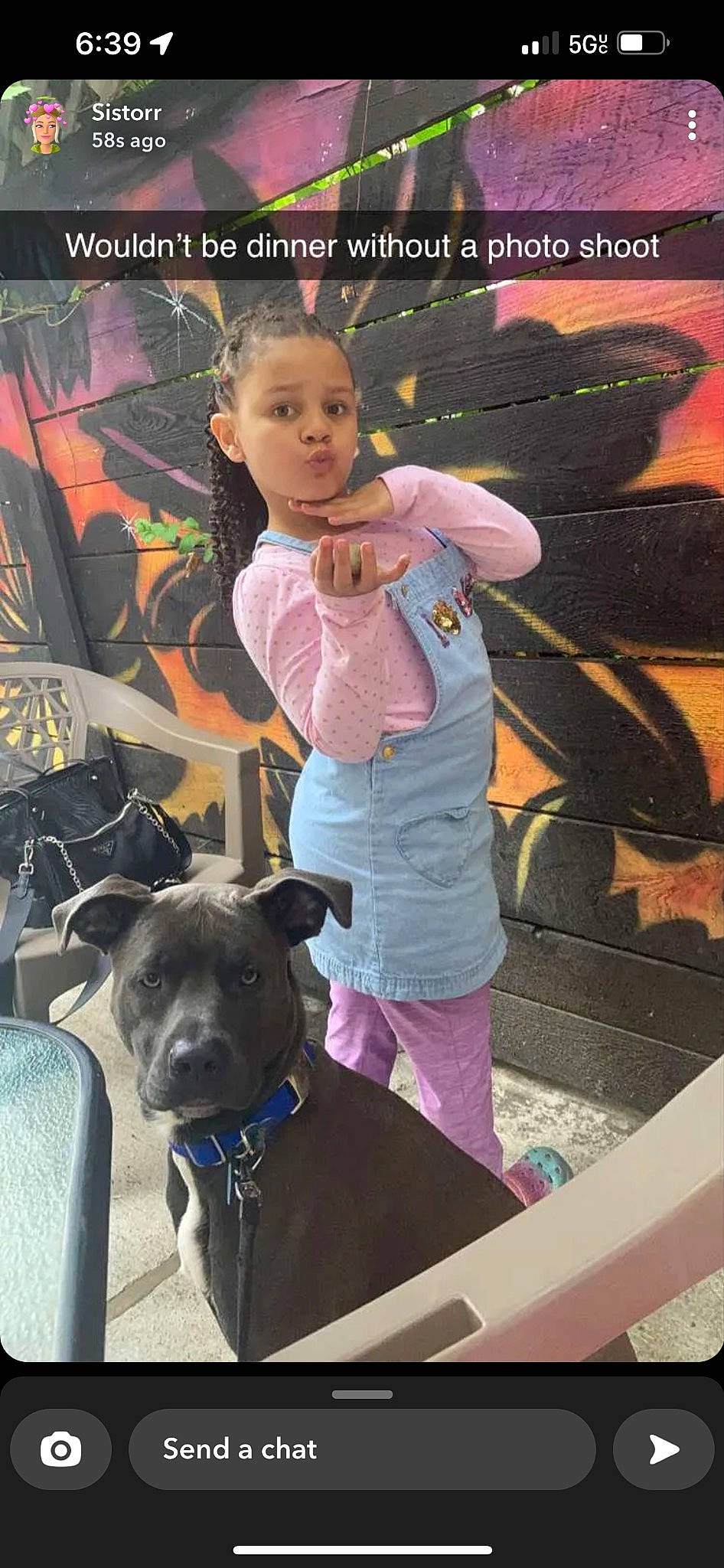 Amora joined the competition — help win amazing prizes! canidae, carnivore, collar, companion_dog, dog, dog_breed, dog_collar, fashion_accessory, fawn, fun, guard_dog, happy, leash, person, pink, purple, room, sitting, sporting_group, toddler