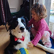 Voltali a rejoint le concours — aidez-le/la à gagner de superbes lots ! affection, animal, black_and_white, bow_tie, carpet, child, curtain, cute, dog, floor, flooring, home, indoor, natural_light, pajamas, pet, playing, toy, window, young_child