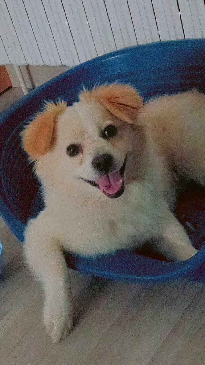 Ruben