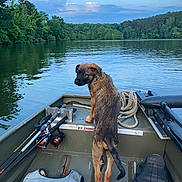 Whiskey River joined the competition — help win amazing prizes! adventure, animal, boat, clouds, curious, dog, fishing_rods, lake, landscape, nature, outdoor, pet, recreation, rope, sky, summer, trees, water, watercraft, wet