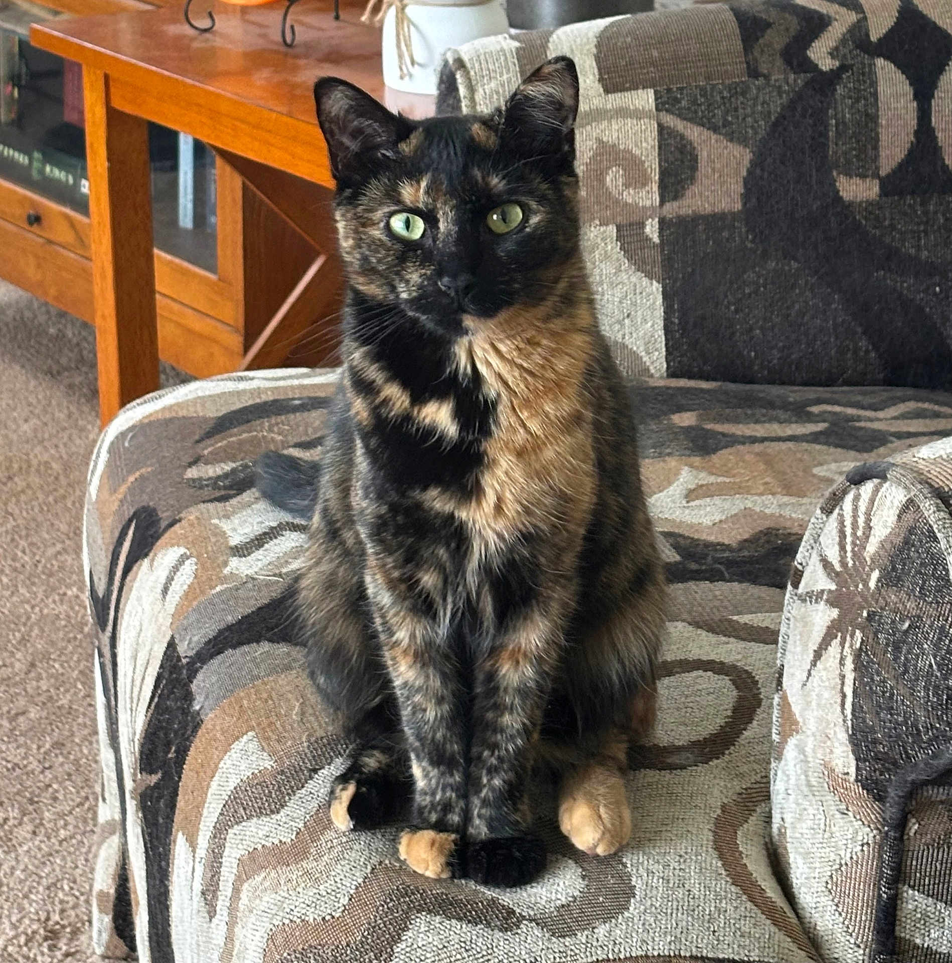 Mocha