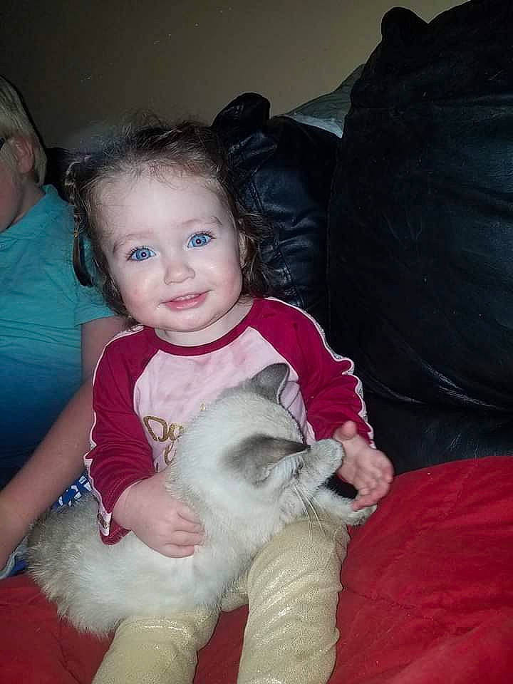 Maeleigh is registered to the contest to win money with this photo: canidae, carnivore, cat, child, companion_dog, dog_breed, ear, fawn, felidae, fun, fur, head, joy, lap, person, skin, small_to_medium_sized_cats, smile, toddler
