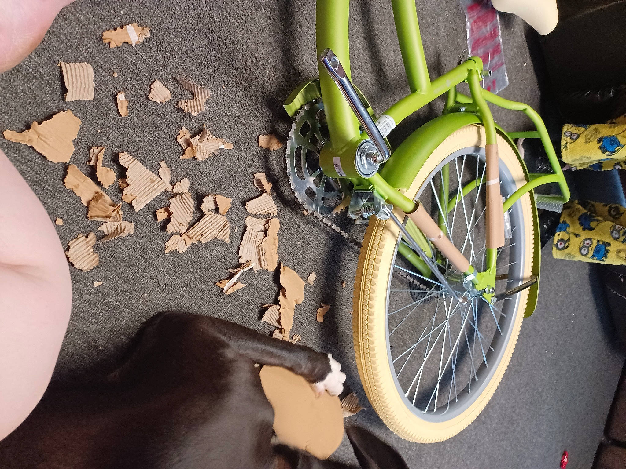 Aladdin is registered to the contest to win money with this photo: automotive_tire, bicycle, bicycle_accessory, bicycle_chain, bicycle_fork, bicycle_frame, bicycle_handlebar, bicycle_part, bicycle_saddle, bicycle_tire, bicycle_wheel, bicycles_equipment_and_supplies, crankset, groupset, hub_gear, luggage_and_bags, motor_vehicle, sports_equipment, tire, wheel