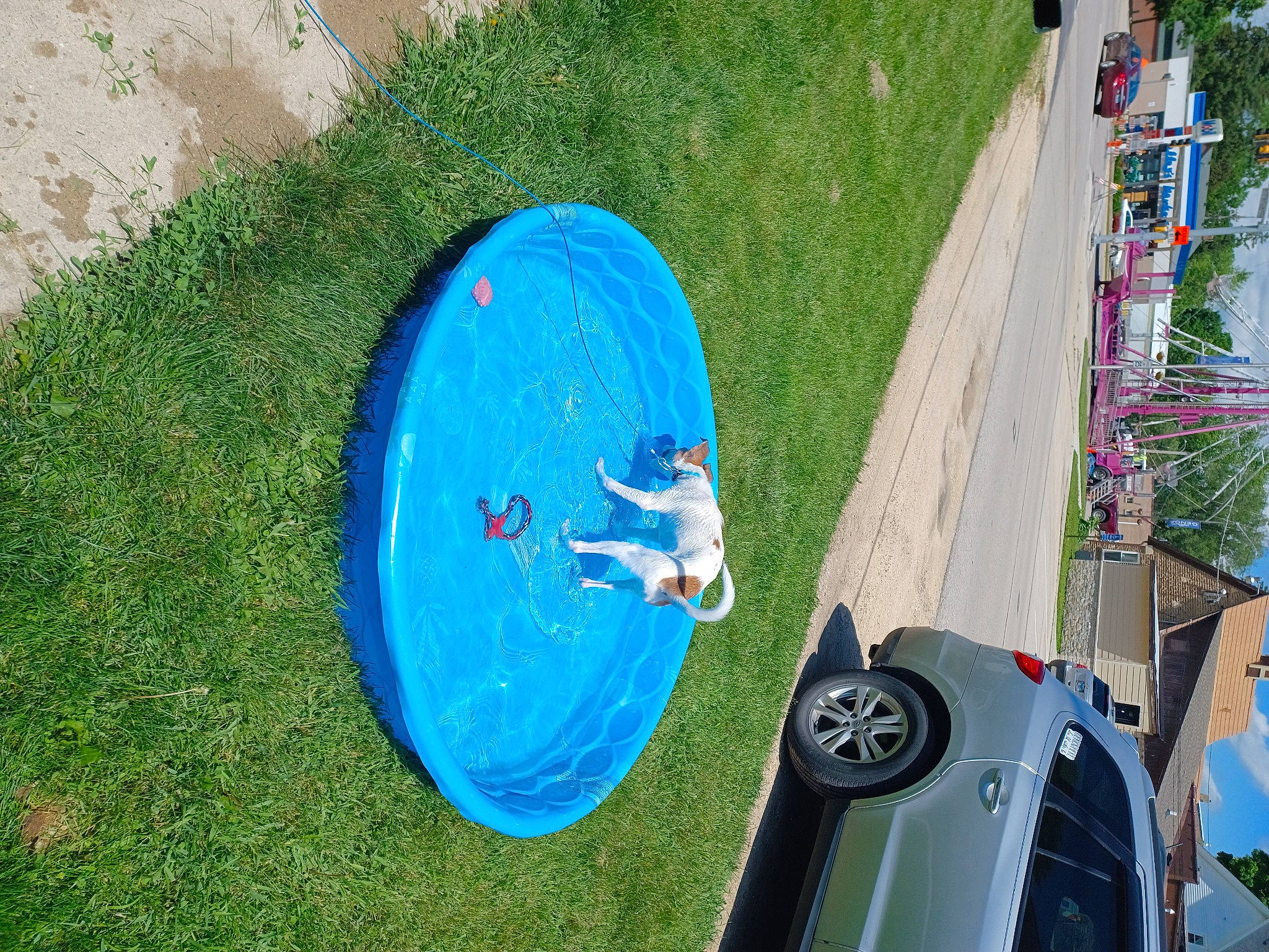 Eclipse Rose joined the competition — help win amazing prizes! asphalt, automotive_exterior, automotive_tire, blue, electric_blue, family_car, fun, grass, green, inflatable, landscape, lawn, leisure, motor_vehicle, plant, recreation, sports, sports_equipment, tree, vehicle_door