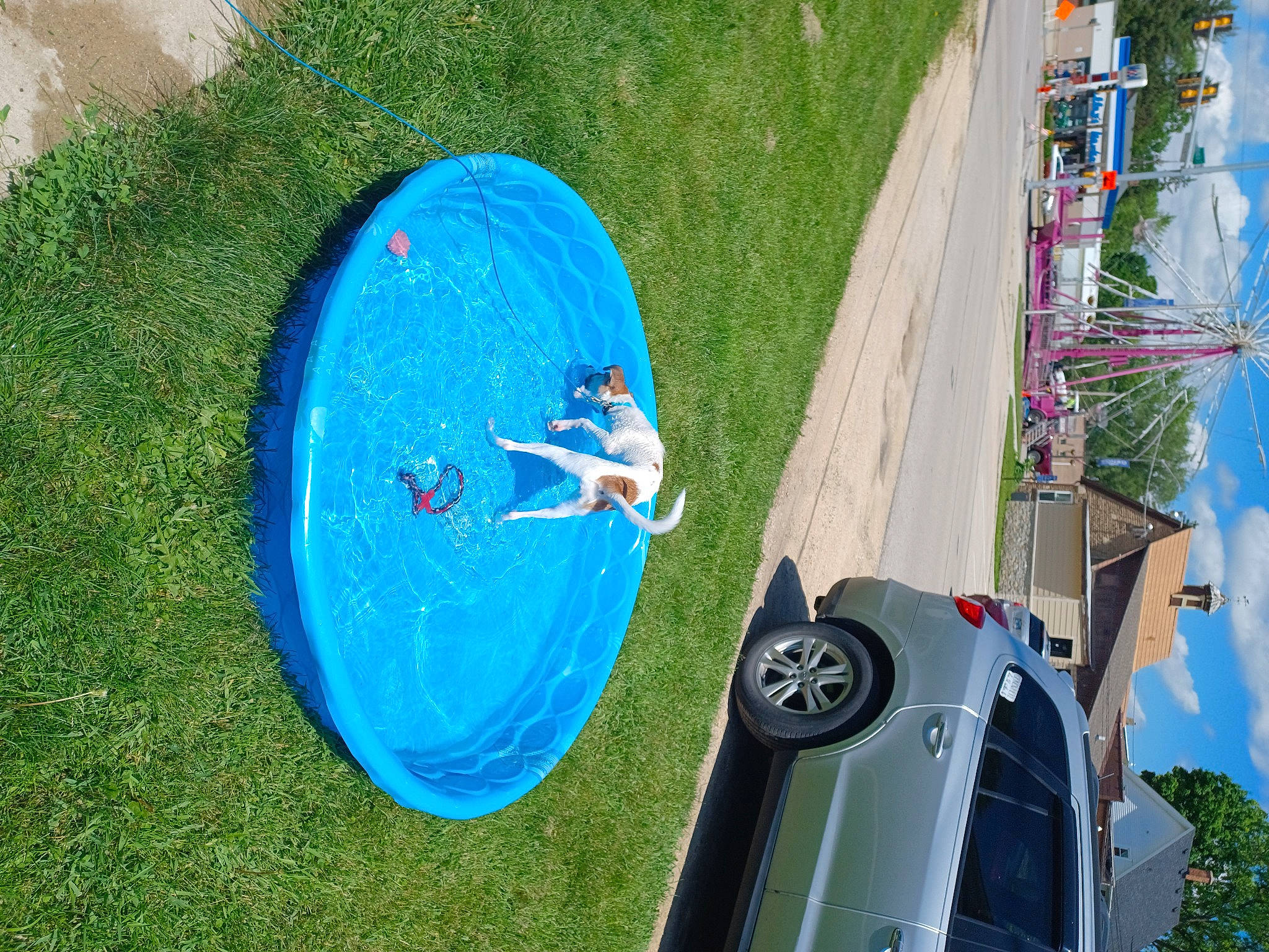 Eclipse Rose is registered to the contest to win money with this photo: adventure, automotive_exterior, automotive_lighting, azure, blue, car, electric_blue, family_car, grass, green, hood, landscape, leisure, motor_vehicle, plant, recreation, sky, tree, vehicle, vehicle_door