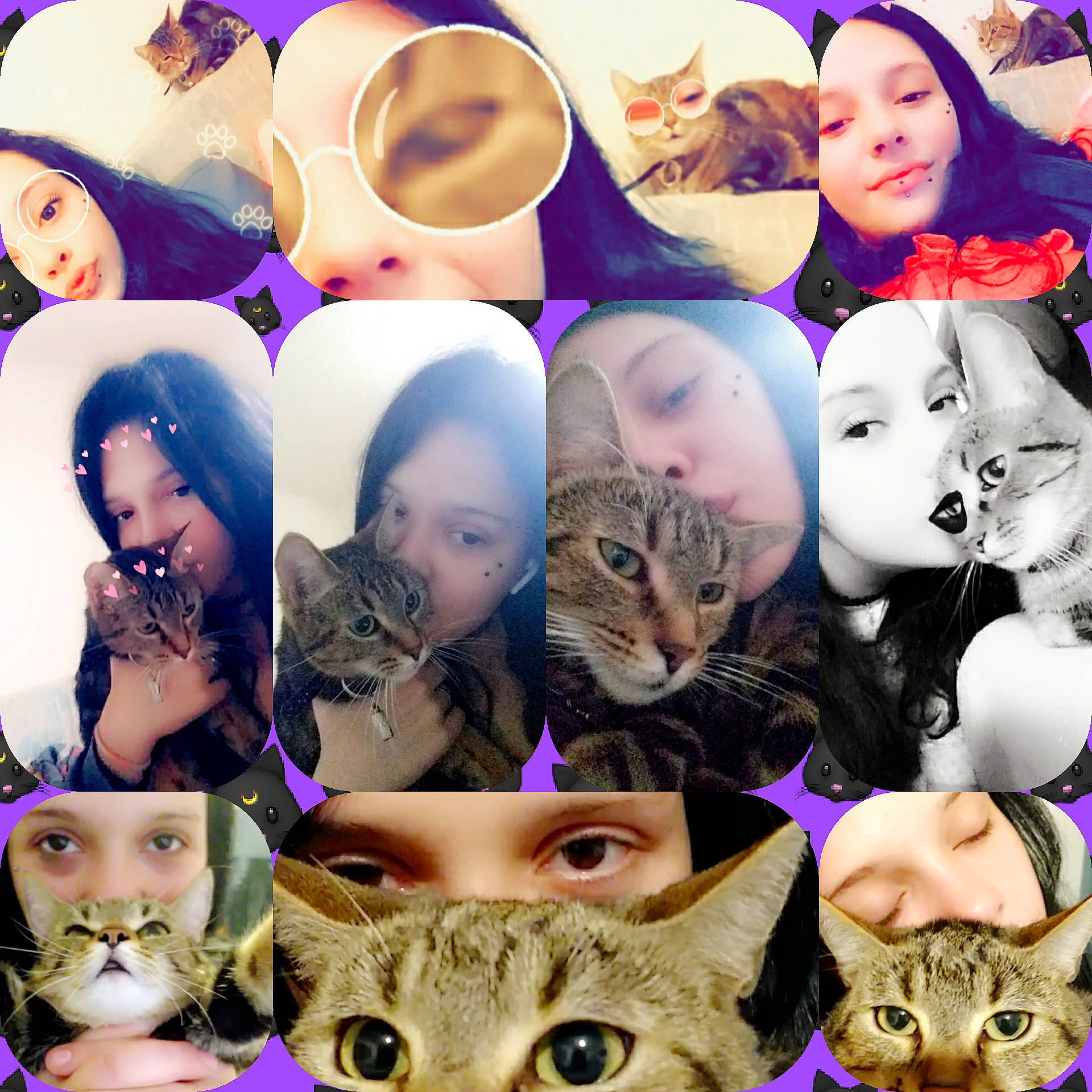 Mina participe au concours pour gagner de l'argent avec cette photo : art, cat, collage, ear, eye, felidae, kitten, nose, photography, photomontage, purple, small_to_medium_sized_cats, whiskers