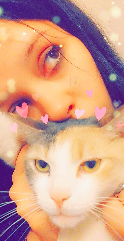 Noisette participe au concours pour gagner de l'argent avec cette photo : carnivore, cat, cheek, close_up, ear, eye, face, fawn, felidae, head, iris, kitten, mouth, nose, photography, skin, small_to_medium_sized_cats, snout, whiskers