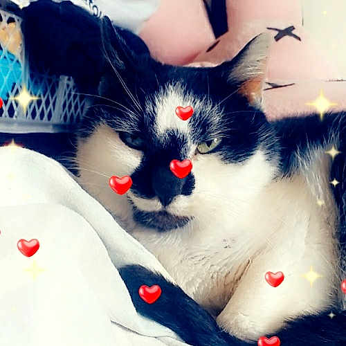 Nina