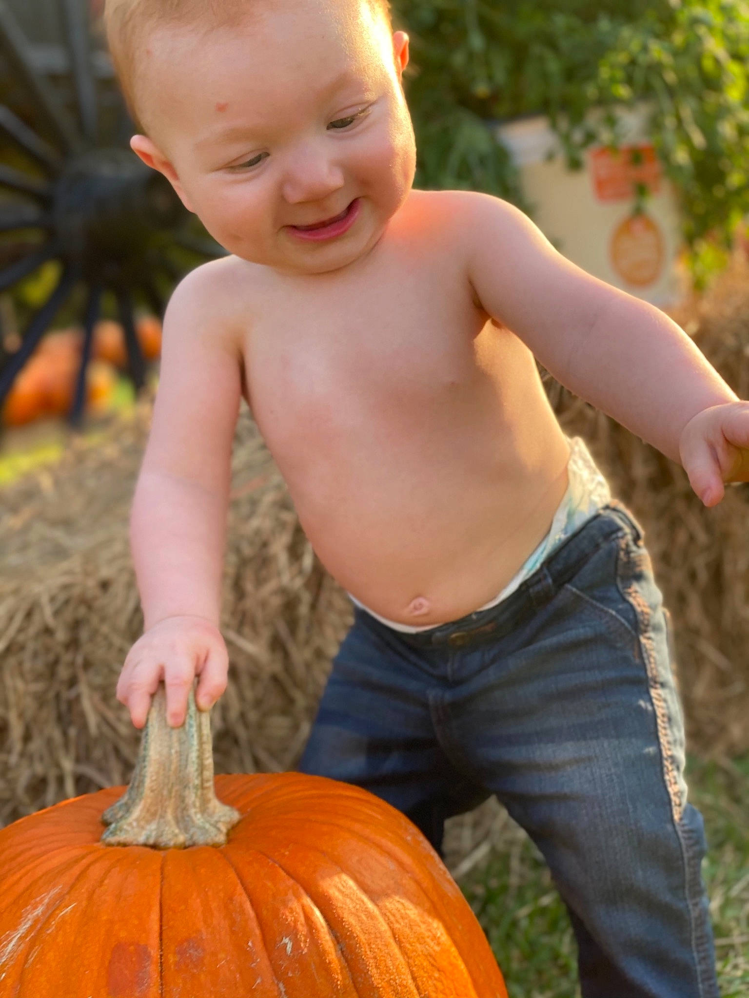 Case joined the competition — help win amazing prizes! _and_melon_family, _gourd, calabaza, child, cucumber, cucurbita, food, fruit, gourd, orange, person, plant, pumpkin, smile, squash, toddler, vegetable, winter_squash