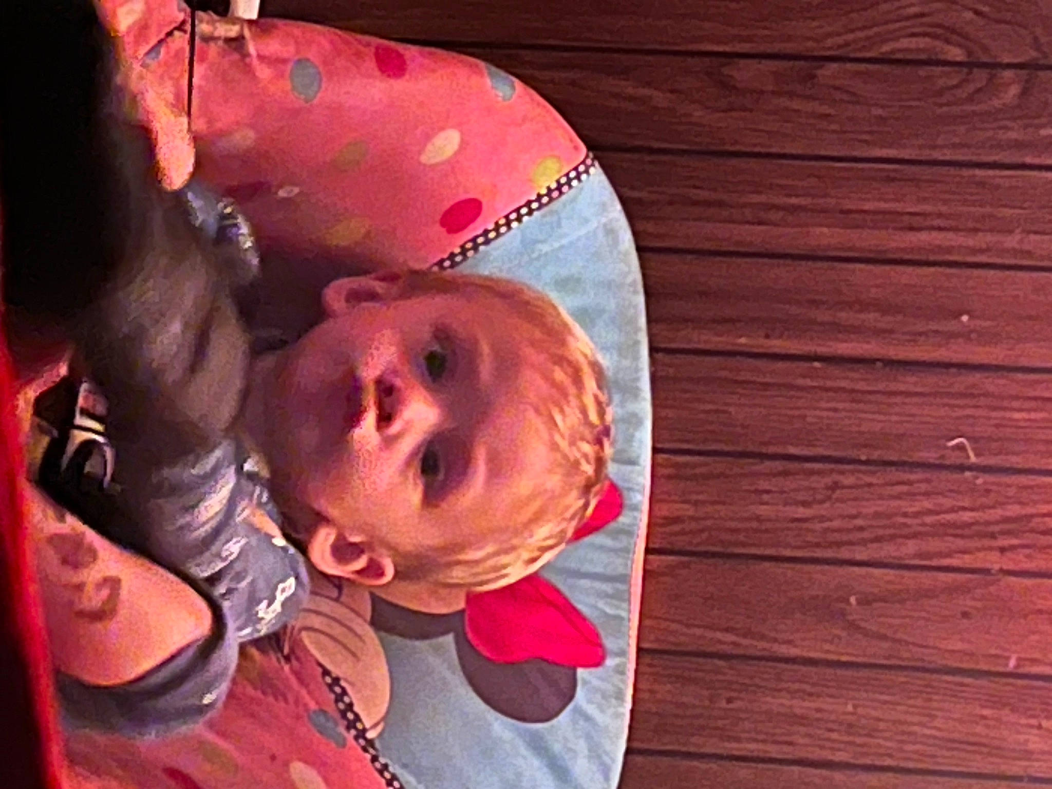 Roman joined the competition — help win amazing prizes! baby, cheek, child, cloud, ear, flesh, fun, happy, hardwood, magenta, nose, person, personal_protective_equipment, room, sky, toddler, tree, wood, wood_stain