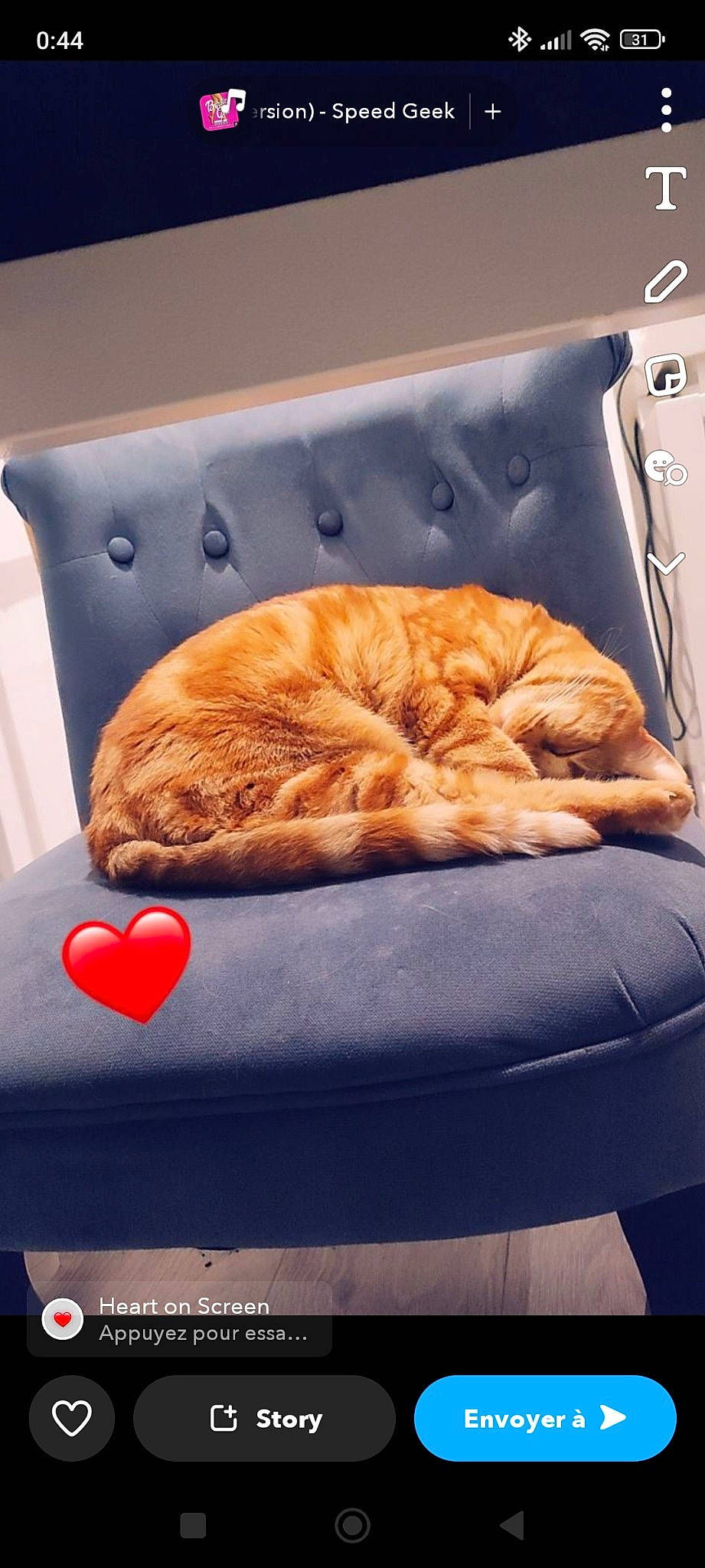 Filou participe au concours pour gagner de l'argent avec cette photo : baked_goods, baking, bedding, carnivore, cat, comfort, cuisine, dish, domestic_short_haired_cat, felidae, finger_food, fur, ingredient, junk_food, linens, orange, product, rectangle, small_to_medium_sized_cats, whiskers