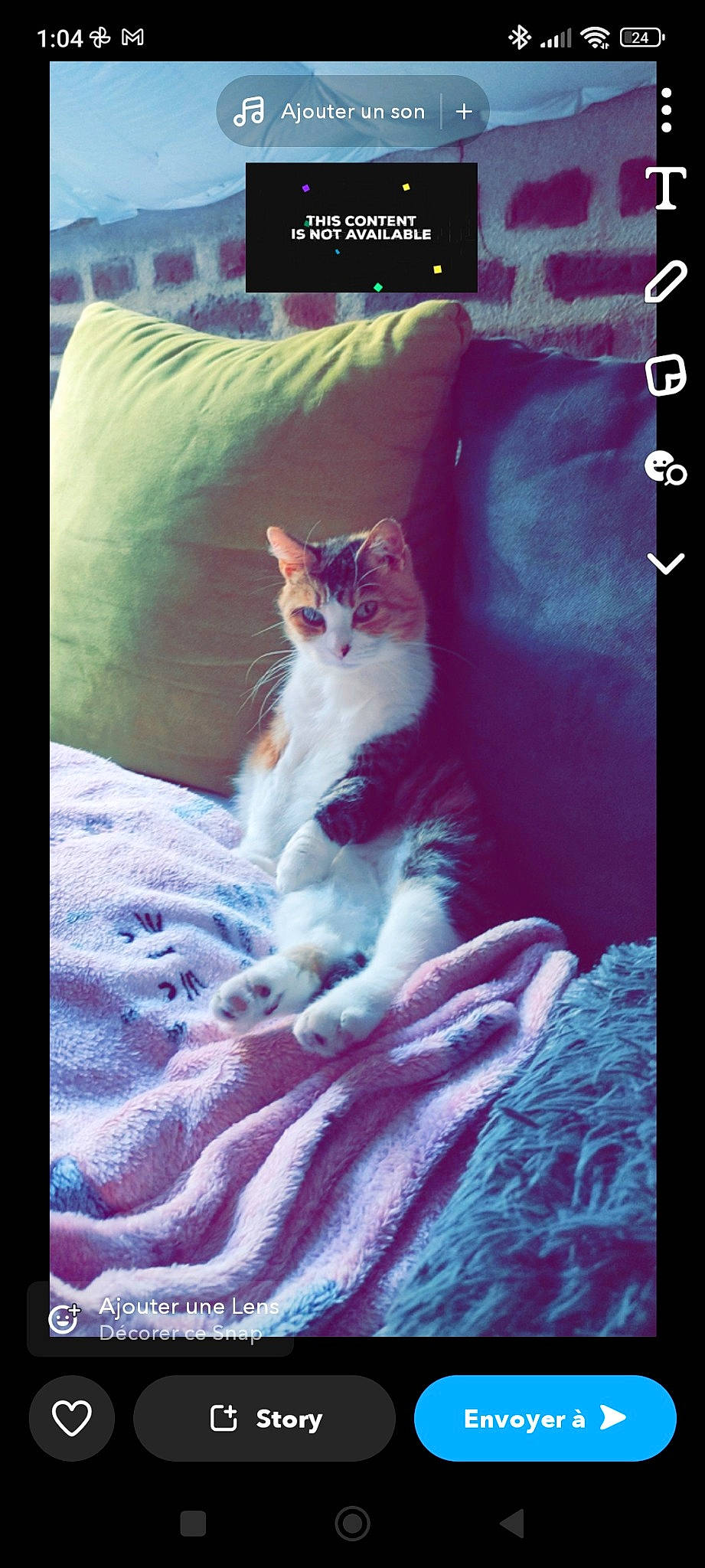 Lou participe au concours pour gagner de l'argent avec cette photo : art, carnivore, cat, domestic_short_haired_cat, electronic_device, felidae, font, fur, linens, magenta, paw, photo_caption, pink, purple, sitting, small_to_medium_sized_cats, square, tail, textile, whiskers