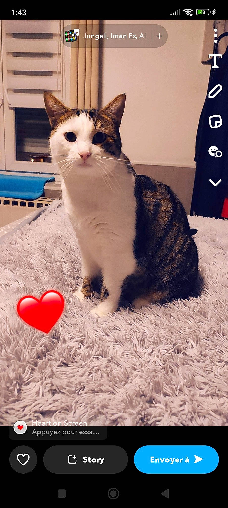 Pop a rejoint le concours — aidez-le/la à gagner de superbes lots ! box, carmine, carnivore, cat, comfort, domestic_short_haired_cat, felidae, foot, fur, grass, happy, human_leg, paw, photo_caption, sitting, small_to_medium_sized_cats, snout, tail, whiskers, window