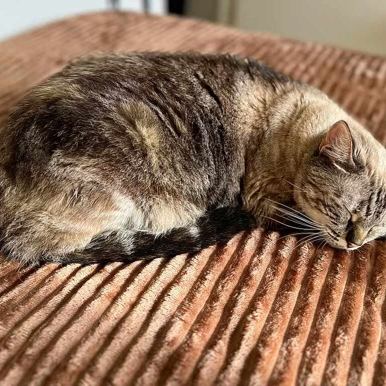 Aperol