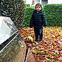 child, autumn, leaves, ball, jacket, outdoor, hedge, metallic_structure, pavement, grass, fall, toy, person, young, casual_clothing, nature, daylight, play, season, park