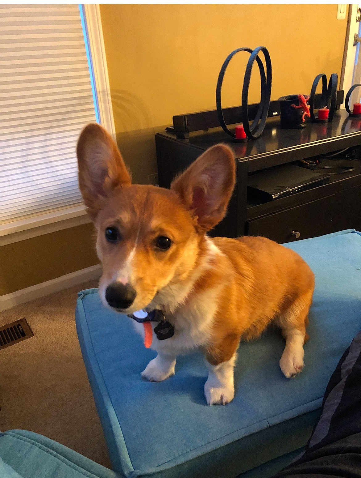 Zoey