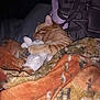 animal, bed, blanket, cat, comfort, cozy, cute, domestic, fur, indoor, orange_tabby, pet, pillow, plush_toy, relaxation, resting, sleepy, snuggling, soft, warm