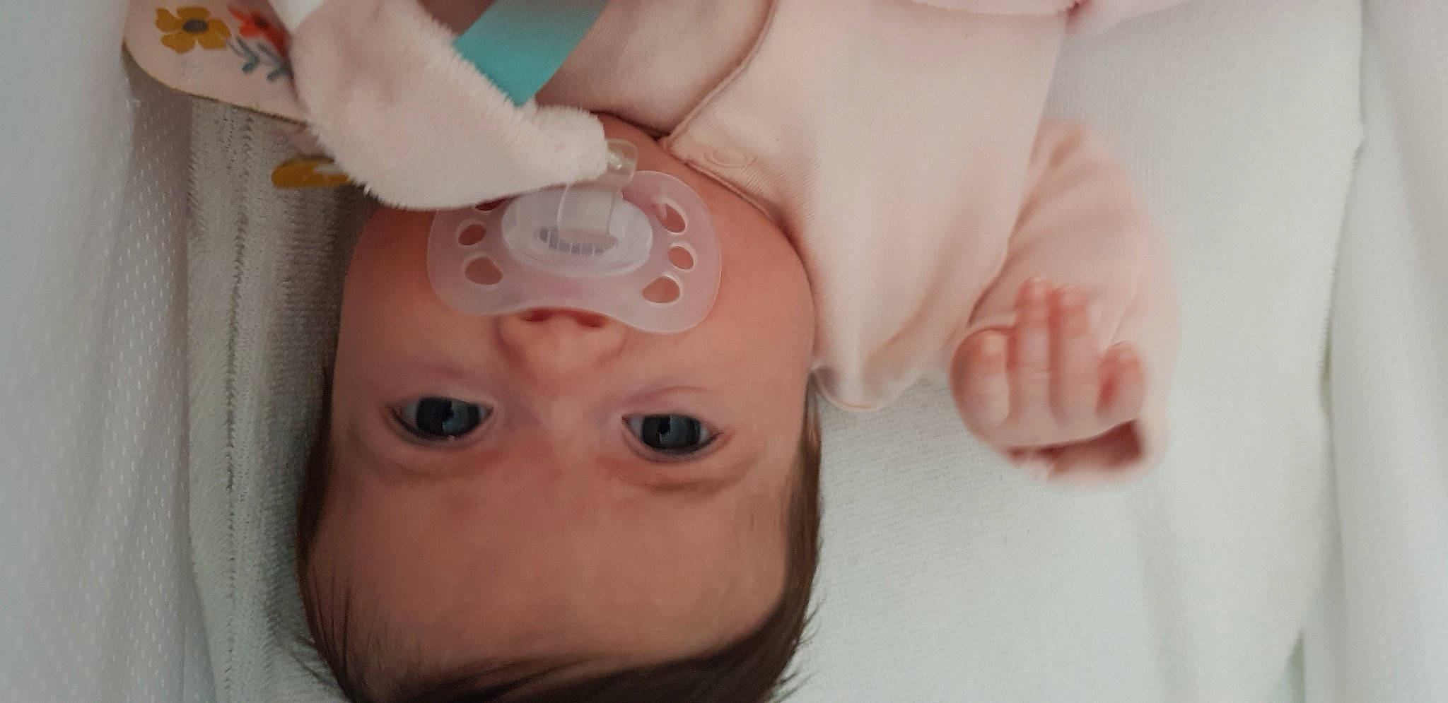 Mia participe au concours pour gagner de l'argent avec cette photo : cheek, chin, ear, eye, eyebrow, eyelash, facial_expression, hand, head, human_body, jaw, joint, lip, mouth, muscle, neck, nose, person, skin, stomach