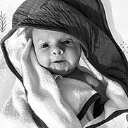 Adaline participe au concours pour gagner de l'argent avec cette photo : baby, black_and_white, blanket, child, closeup, comfort, cute, expression, face, gaze, hood, indoor, infant, monochrome, newborn, portrait, skin, soft, towel, wrapped
