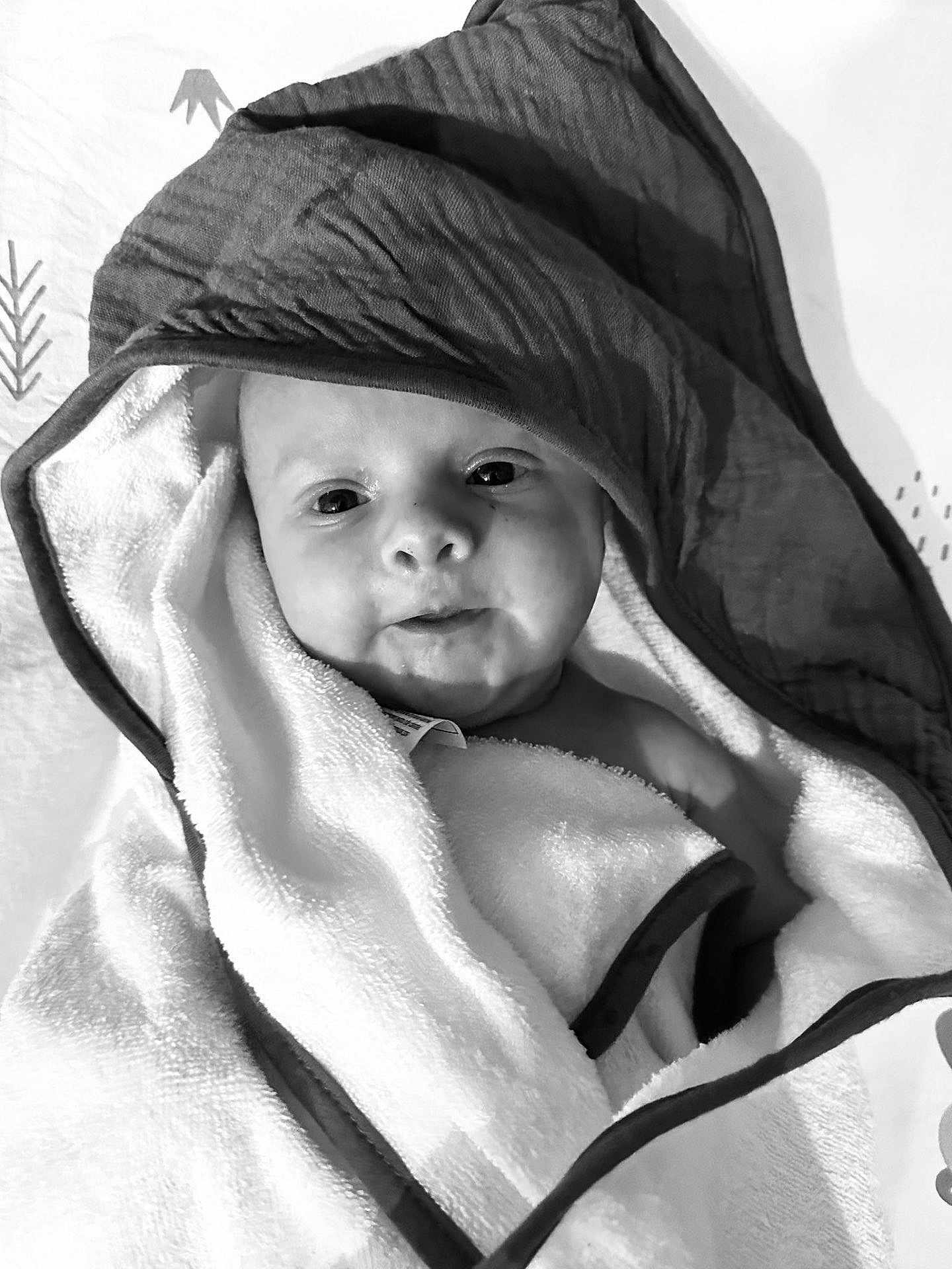 Adaline participe au concours pour gagner de l'argent avec cette photo : baby, black_and_white, blanket, child, closeup, comfort, cute, expression, face, gaze, hood, indoor, infant, monochrome, newborn, portrait, skin, soft, towel, wrapped