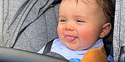 Arthur joined the competition — help win amazing prizes! baby, casual, child, child_seat, childcare, colorful_toy, comfort, cute, gray_fabric, happy, infant, playful, plush_toy, portrait, rosy_cheeks, seatbelt, smiling, soft_lighting, stroller, tongue_out