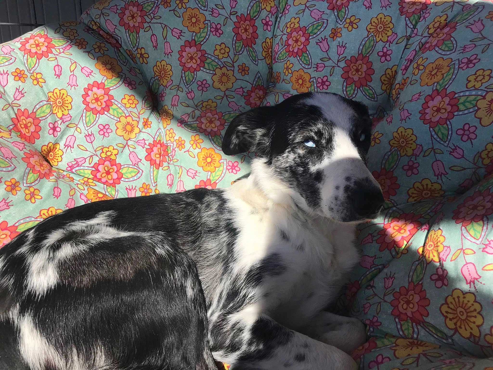 Ruby