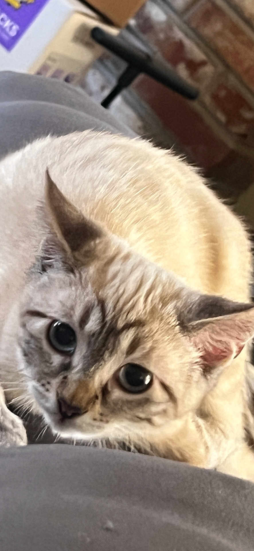 Ruby